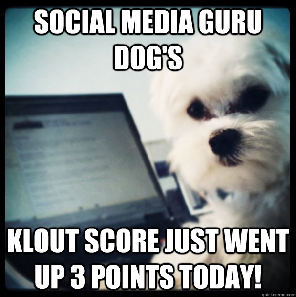 Social Media Guru Dog's Klout score just went up 3 points today!  Social Media Guru Dog