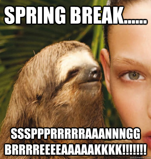 spring break...... sssppprrrrraaannngg brrrreeeeaaaaakkkk!!!!!!!   Whispering Sloth