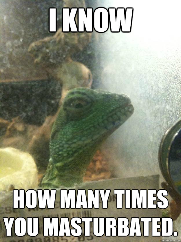 I know How many times you masturbated.  Leery Lizard