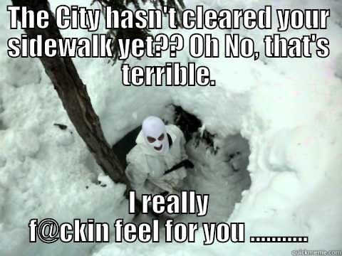 Abominable Snow Dude - THE CITY HASN'T CLEARED YOUR SIDEWALK YET?? OH NO, THAT'S TERRIBLE. I REALLY F@CKIN FEEL FOR YOU ........... Misc