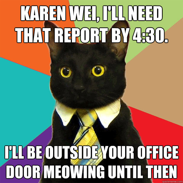 Karen Wei, i'll need that report by 4:30. I'll be outside your office door meowing until then  Business Cat