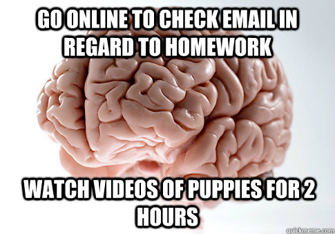 Go online to check email in regard to homework  Watch videos of puppies for 2 hours  Scumbag Brain