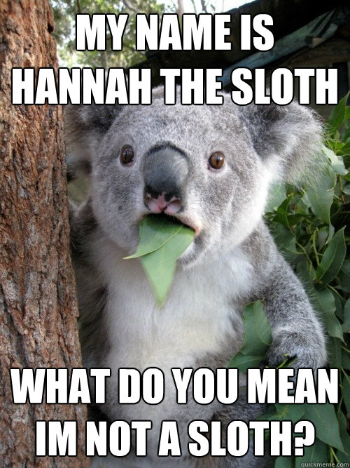 My name is hannah the sloth  What do you mean im not a sloth? - My name is hannah the sloth  What do you mean im not a sloth?  koala bear