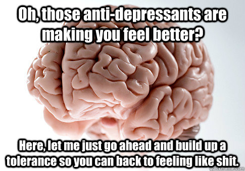 Oh, those anti-depressants are making you feel better? Here, let me just go ahead and build up a tolerance so you can back to feeling like shit.   Scumbag Brain