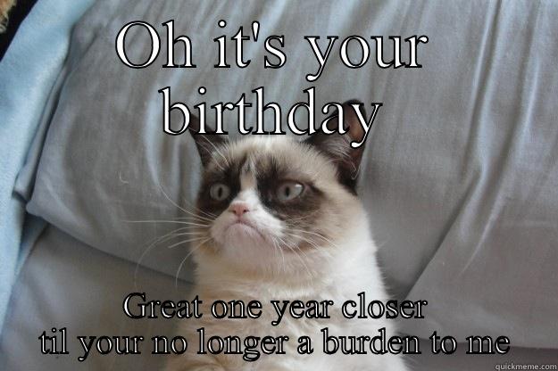 OH IT'S YOUR BIRTHDAY GREAT ONE YEAR CLOSER TIL YOUR NO LONGER A BURDEN TO ME Grumpy Cat