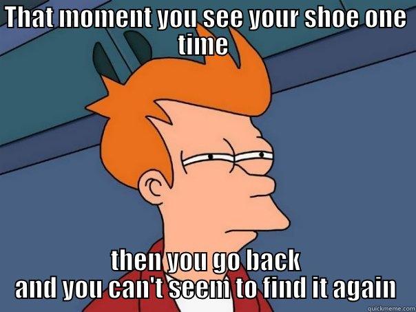 THAT MOMENT YOU SEE YOUR SHOE ONE TIME  THEN YOU GO BACK AND YOU CAN'T SEEM TO FIND IT AGAIN Futurama Fry