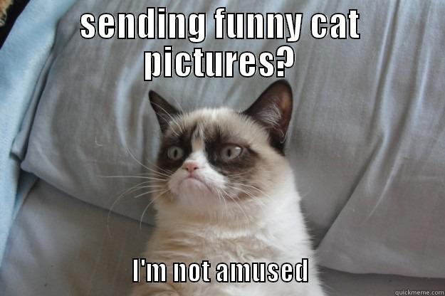 SENDING FUNNY CAT PICTURES?                                                                                                                                                     I'M NOT AMUSED                           Grumpy Cat