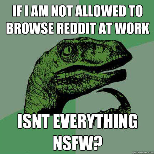 If I am not allowed to browse reddit at work isnt everything nsfw? - If I am not allowed to browse reddit at work isnt everything nsfw?  Philosoraptor