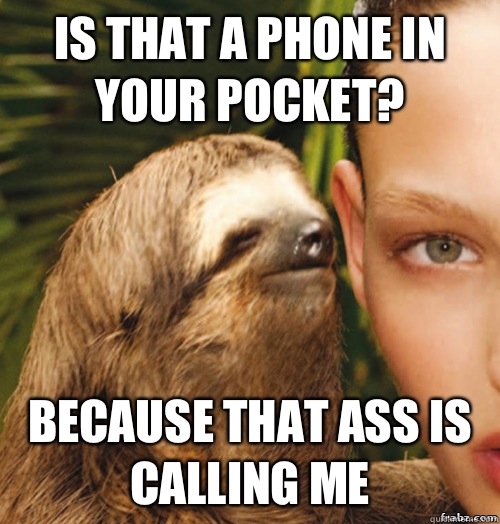 Is that a phone in your pocket? Because that ass is calling me  rape sloth