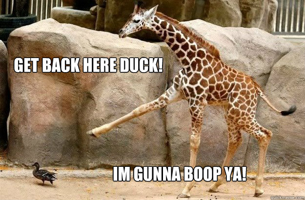 Get back here duck! Im gunna boop ya! - Get back here duck! Im gunna boop ya!  Giraffe boop!