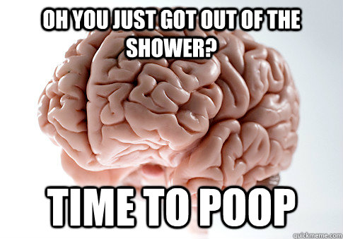 Oh you just got out of the shower? TIme to poop  Scumbag Brain