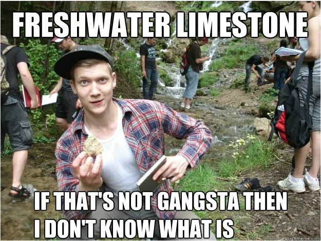 freshwater limestone IF that's not gangsta then i don't know what is  Limestone