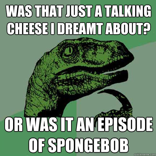 WAS THAT JUST A TALKING CHEESE I DREAMT ABOUT? OR WAS IT AN EPISODE OF SPONGEBOB  Philosoraptor