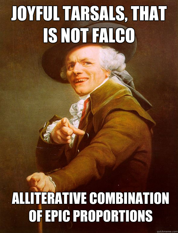 JOYFUL TARSALS, THAT IS NOT FALCO ALLITERATIVE COMBINATION OF EPIC PROPORTIONS  Joseph Ducreux