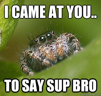 I CAME AT YOU.. to say Sup Bro  Misunderstood Spider