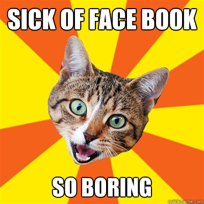 sick of face book so boring  Bad Advice Cat