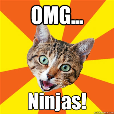 OMG... Ninjas!  Bad Advice Cat