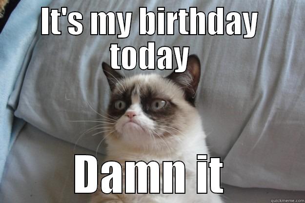 IT'S MY BIRTHDAY TODAY DAMN IT Grumpy Cat