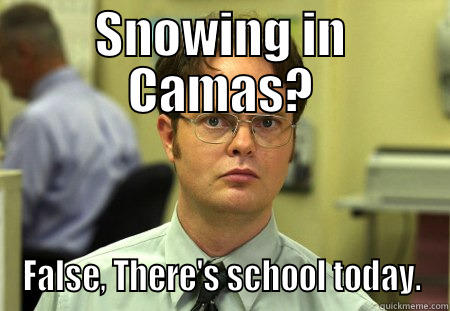 SNOWING IN CAMAS? FALSE, THERE'S SCHOOL TODAY. Schrute