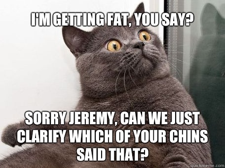 I'm getting fat, you say? Sorry Jeremy, can we just clarify which of your chins said that?  conspiracy cat