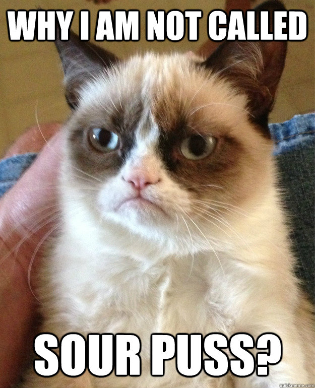 Why I am not called Sour Puss?  Grumpy Cat