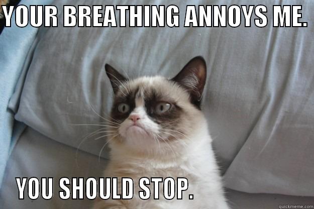 YOUR BREATHING ANNOYS ME.  YOU SHOULD STOP.                         Grumpy Cat