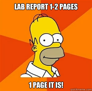 Lab report 1-2 pages 1 page it is!   Advice Homer