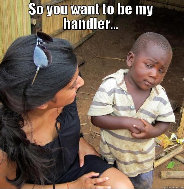 SO YOU WANT TO BE MY HANDLER...  Skeptical Third World Kid