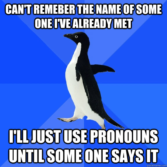 Can't remeber the name of some one i've already met i'll just use pronouns until some one says it  Socially Awkward Penguin