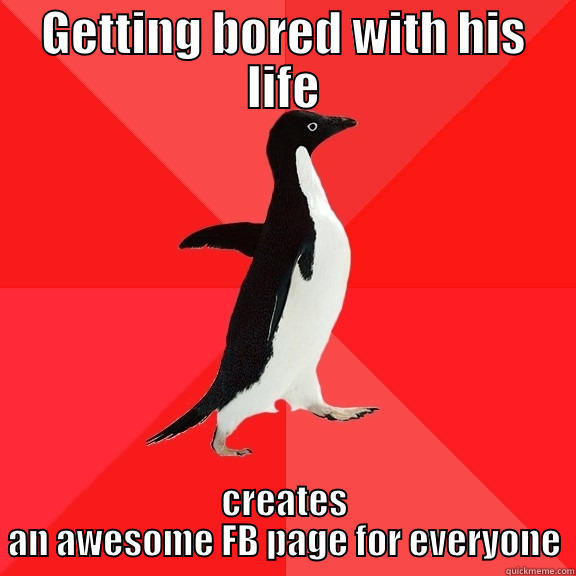 GETTING BORED WITH HIS LIFE CREATES AN AWESOME FB PAGE FOR EVERYONE Socially Awesome Penguin