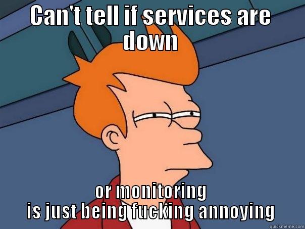 CAN'T TELL IF SERVICES ARE DOWN OR MONITORING IS JUST BEING FUCKING ANNOYING Futurama Fry