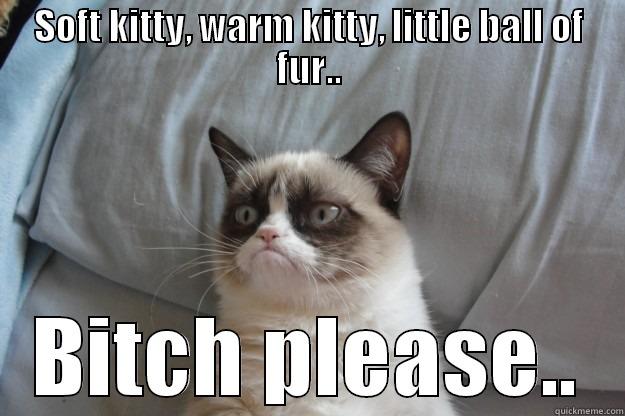 SOFT KITTY, WARM KITTY, LITTLE BALL OF FUR.. BITCH PLEASE.. Grumpy Cat