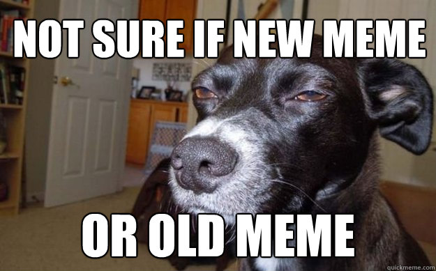 Not sure if new meme or old meme - Not sure if new meme or old meme  Frys Dog