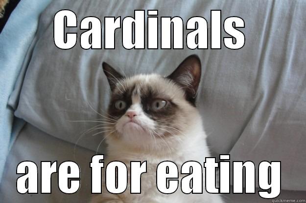 Go Sox! - CARDINALS ARE FOR EATING Grumpy Cat