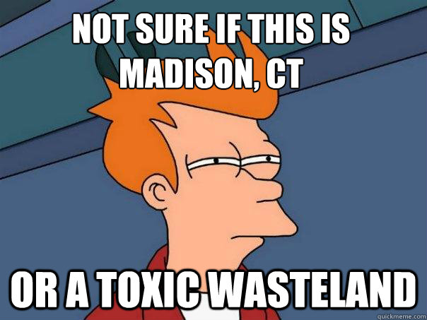 Not sure if this is madison, ct Or a toxic wasteland  Futurama Fry