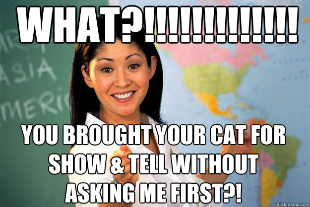 what?!!!!!!!!!!!!! you brought your cat for show & tell without asking me first?!  Unhelpful High School Teacher