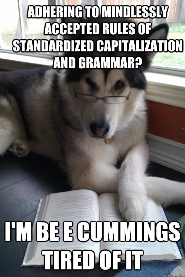 adhering to mindlessly accepted rules of Standardized capitalization and grammar? i'm be e cummings tired of it  Condescending Literary Pun Dog