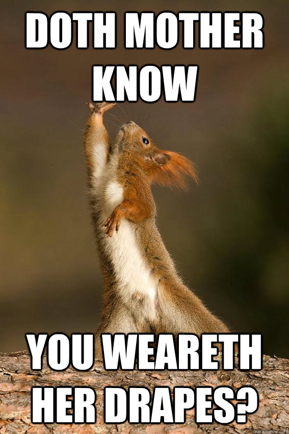 Doth mother know you weareth her drapes?  Shakespeare Squirrel