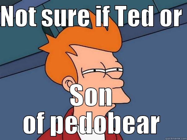 NOT SURE IF TED OR  SON OF PEDOBEAR Futurama Fry