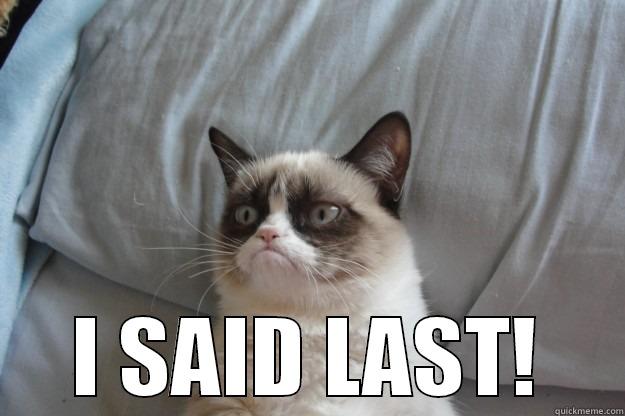 I SAID LAST -  I SAID LAST! Grumpy Cat