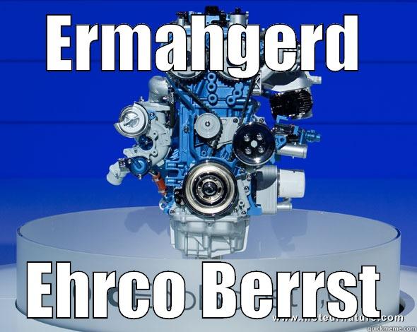 ERMAHGERD EHRCO BERRST Misc