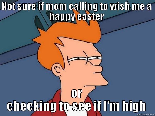 NOT SURE IF MOM CALLING TO WISH ME A HAPPY EASTER OR CHECKING TO SEE IF I'M HIGH Futurama Fry