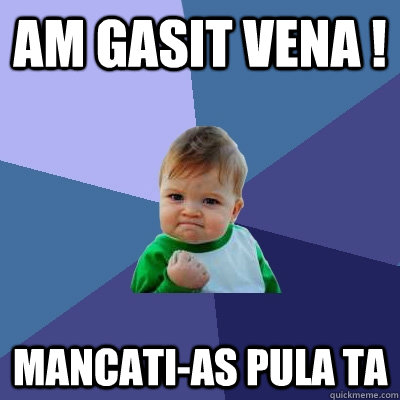 am gasit vena ! mancati-as pula ta - am gasit vena ! mancati-as pula ta  Success Kid