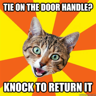 Tie on the door handle? Knock to return it  Bad Advice Cat