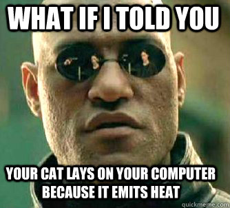 what if i told you your cat lays on your computer because it emits heat  Matrix Morpheus