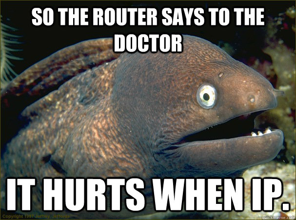 so the Router says to the Doctor It hurts when IP. - so the Router says to the Doctor It hurts when IP.  Bad Joke Eel