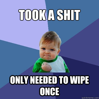 took a shit only needed to wipe once  Success Kid