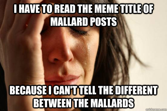 I have to read the meme title of mallard posts because I can't tell the different between the mallards  First World Problems