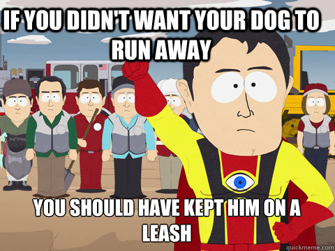 if you didn't want your dog to run away you should have kept him on a leash - if you didn't want your dog to run away you should have kept him on a leash  Captain Hindsight