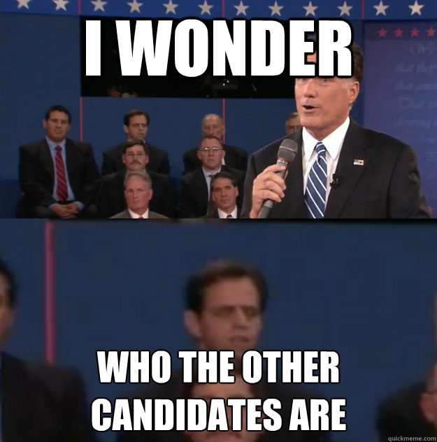 I wonder who the other candidates are  Typical Undecided Voter